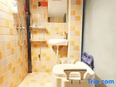 Hongshan - 110
