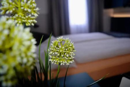 Pension Elisabeth - Rooms & Apartments - 74