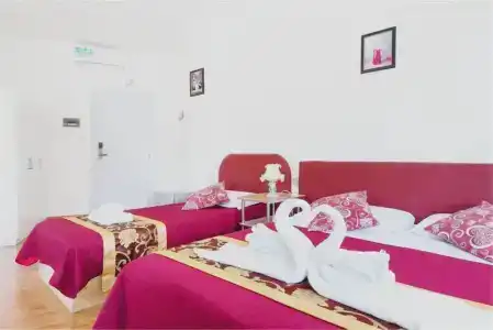Bed and Breakfast CICLAMINO - 20