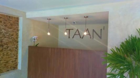 TAAN' - 1