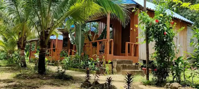 Dolphin Bay Resort - 40