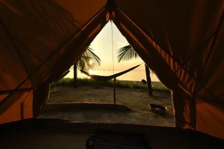 Robinson Bungalows - 33