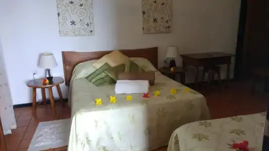 Mango Lodge - 111