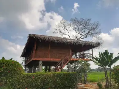 The Hideout Sigiriya - 141