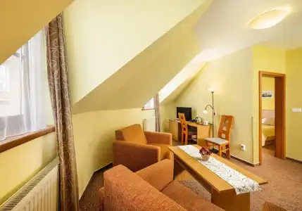 Záviš z Falkenštejna - 57