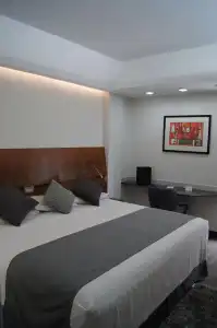 Holiday Inn Express Ciudad De Mexico Condesa by IHG - 100