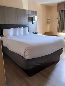 Lavissh Inn and Suites - 26