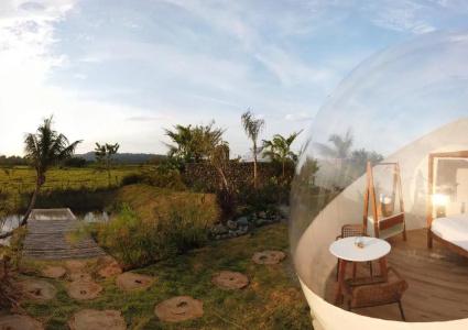 Green Land Bubble Glamping - 40