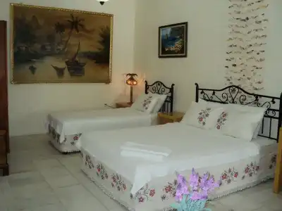 Antik Motel - 1