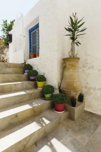 Dimitra Boutique - 11