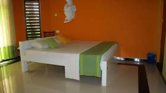 Bee Nest Bed & Breakfast - 27