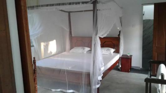 Singha Holidays Mirissa - 6