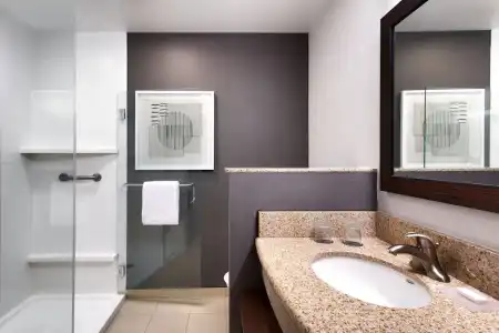 Residence Inn by Marriott Lincoln Downtown - 55