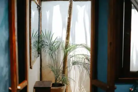 Eco.Bañitas - 67