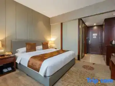 Hangzhou Junshang - 17
