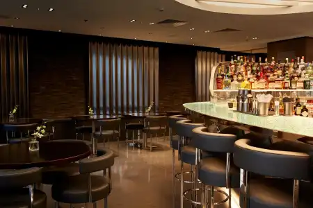 Hyatt Regency London Albert Embankment - 17