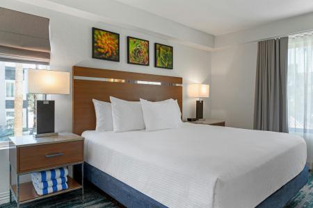 Desert Rose Resort - 3