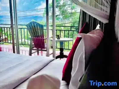 Nature Life Guest Inn - 35