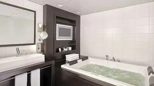 Park Plaza Eindhoven - 59