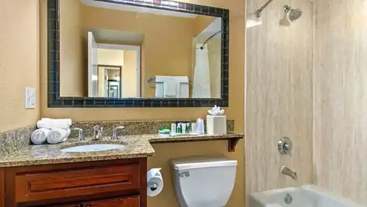 Holiday Inn & Suites Clearwater Beach by IHG - 86