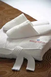 Guadalajara Plaza Expo Business Class - 53