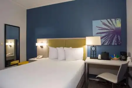SureStay by Best Western Santa Monica - 81