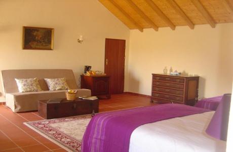 Quinta do Scoto - 66