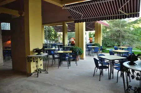 Palm Court Suites - 18
