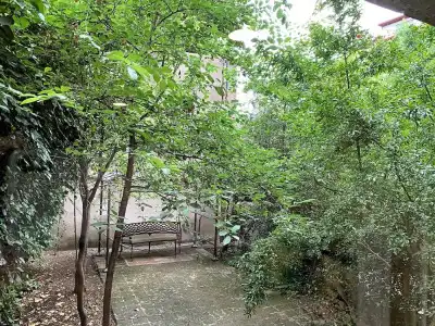 Red Fox Guesthouse - 31