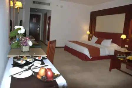 Safir Cairo - 31