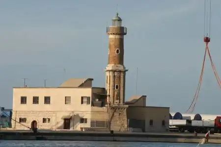 Domatia - 15