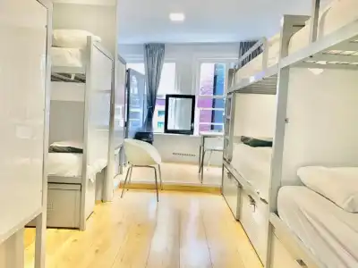The White Tulip Hostel - 3