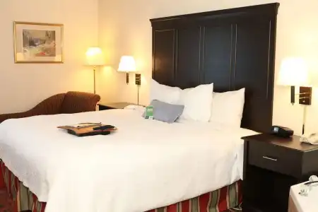 Bloom Mississauga, Tapestry Collection by Hilton - 4
