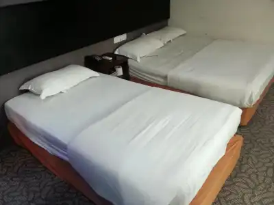 Oriental Inn - 39