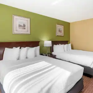 Quality Inn & Suites Bloomington University Area - 30