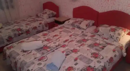 Guest House Dragomir - 3