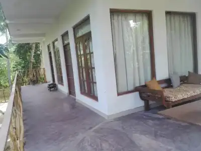 Turtle Paradise - 28