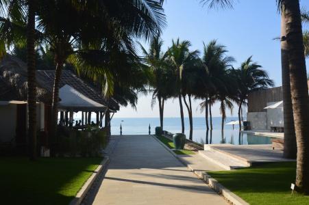 Sunsea Resort - 16