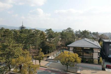 Noborioji - 24