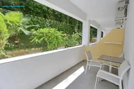Tropical - 208