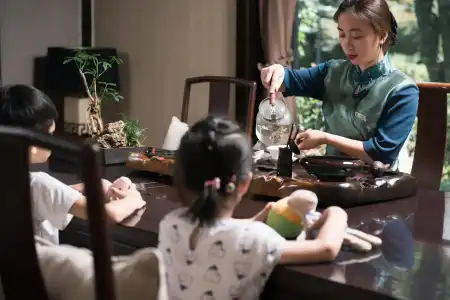 Zhejiang Xizi - 24