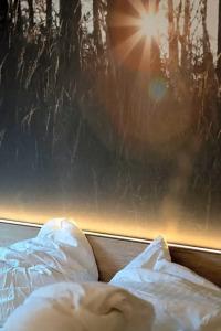 Schwarzwälder Hof - 70