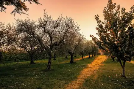 Quercia Belvedere Relais - 151