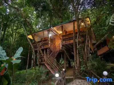 Khaosok Rainforest Resort - 97