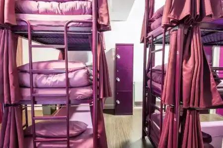 Safestay London Kensington Holland Park - 44
