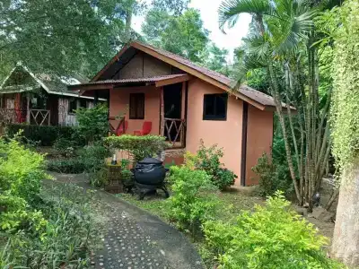 Faye Orchid Resort - 169