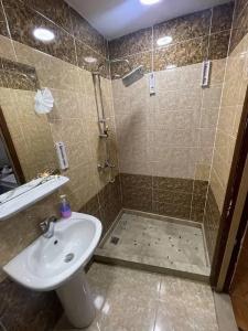 Abdeen Palace - 86