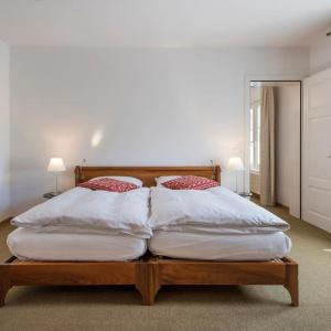 Saratz Pontresina Mountain Resort & Spa - 39