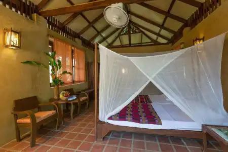 Our Jungle Camp - Eco Resort - 11