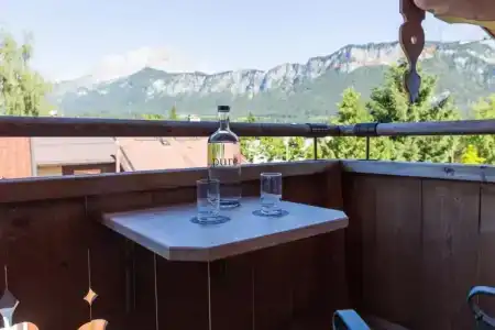 Alpin Tyrol - 38